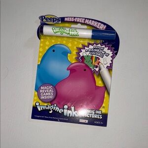 Imagine Ink Magic Ink Pictures with Marker